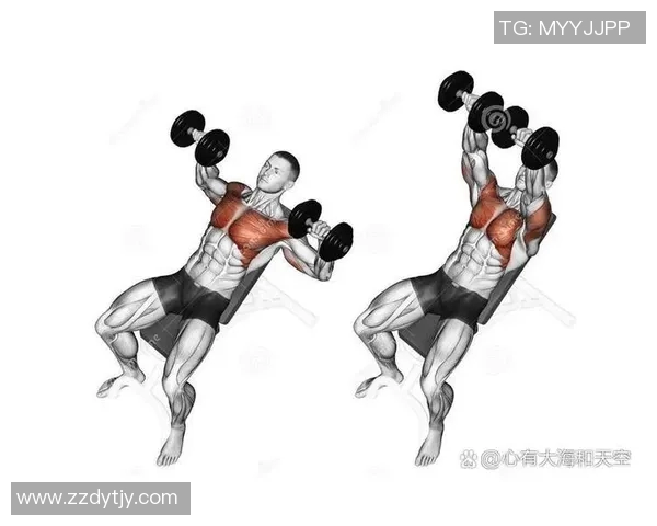 哑铃提肩训练技巧与注意事项助你塑造完美肩部线条