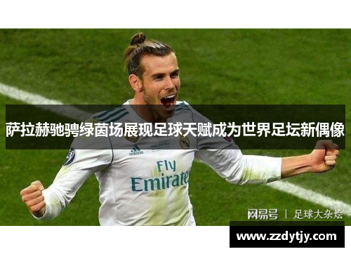 萨拉赫驰骋绿茵场展现足球天赋成为世界足坛新偶像