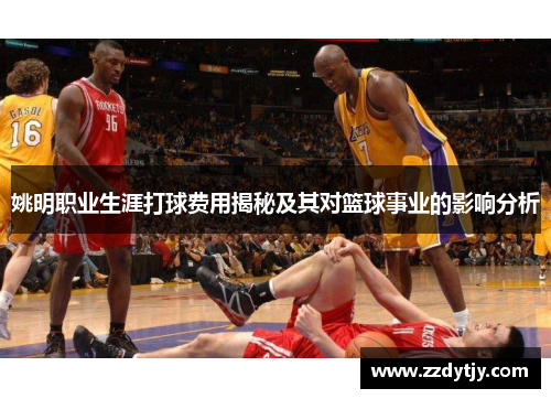 姚明职业生涯打球费用揭秘及其对篮球事业的影响分析