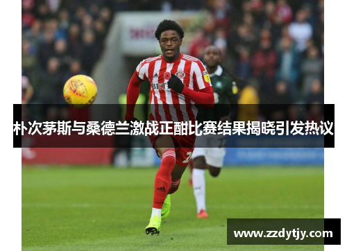 朴次茅斯与桑德兰激战正酣比赛结果揭晓引发热议