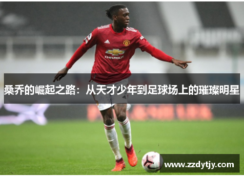 桑乔的崛起之路：从天才少年到足球场上的璀璨明星